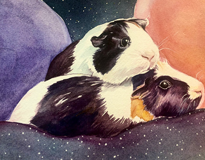 Space Guinea Pigs