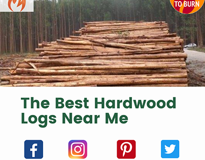 The Best Hardwood Logs Near Me In UK