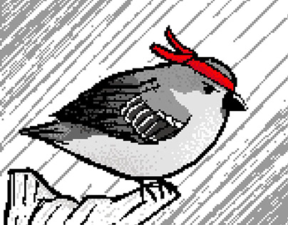 Sparrow Pixel Art (with mock-up examples)