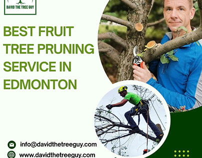 Best Fruit Tree Pruning Service In Edmonton