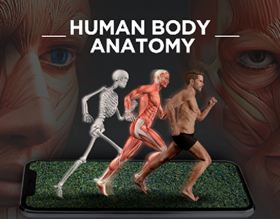 Online Learning Course: Human Body Anatomy
