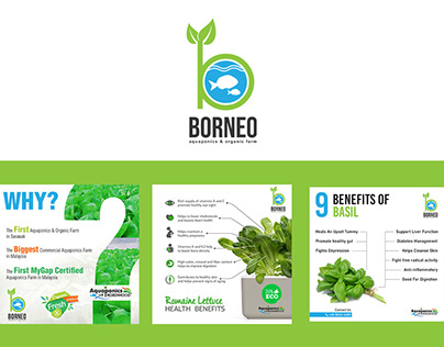 Borneo (Aquaponics & Organic Farms)