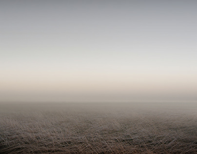 Nebel Felder (Fog Fields)