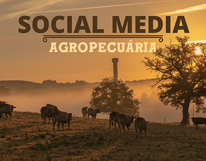Social Media Agropecuária
