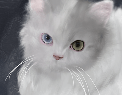 Cat / Digital Painting Study