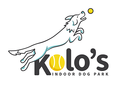 Indoor dog park logo & branding concepts
