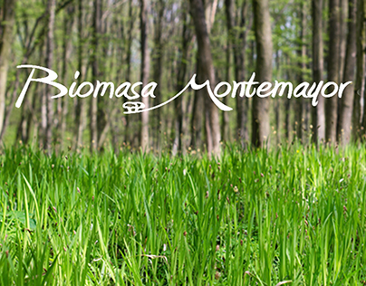 Web Biomasa Montemayor