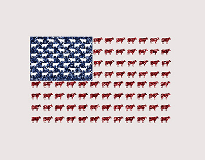 America Cows Flag