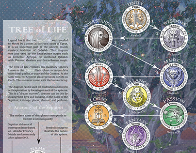 Tree of Life Infographic