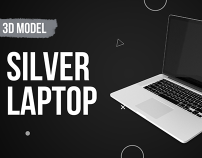 3D Silver Laptop