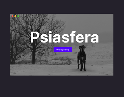 Psiasfera - Interaction design exercise