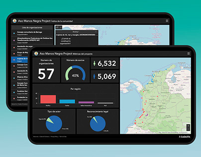 Esri ArcGIS: Analyzing Data with Interactive Dashboards