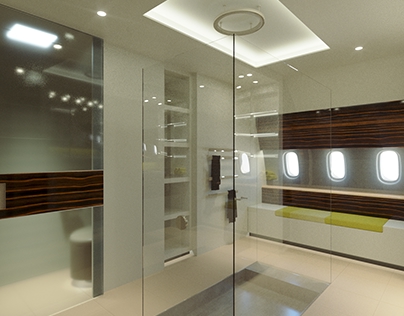 Boeing 787 Bathroom Redesign - GDC