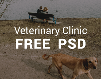 Veterinary Clinic. Free PSD