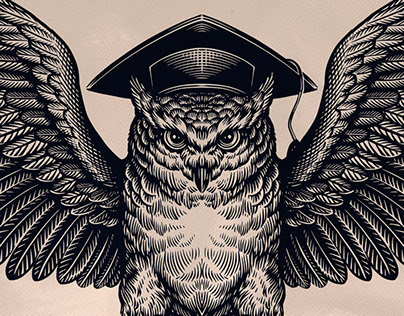 Wisdom Owl Illustration