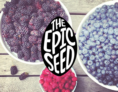 Epic Seed Website