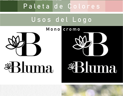 Branding Para Bluma cosmética natural
