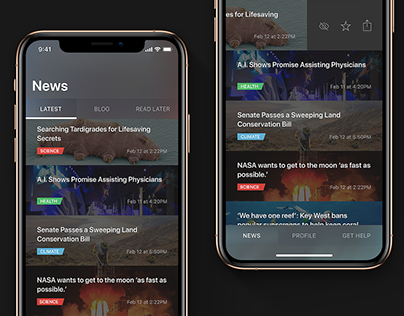 The Racoon Times – Dark News Feed Design Template Figma