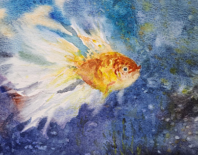 Gold fish.  Watercolor.