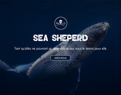 Overhauling sea shepherd homepage