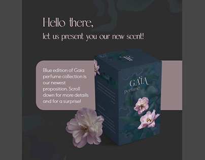 Perfume newsletter concept