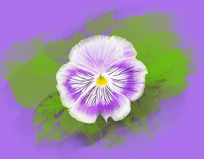 pansy flower inspired gifs
