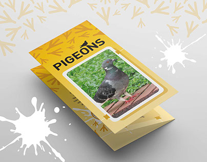 (AVA) Pigeon Problem | Tri-fold Informative Brochure