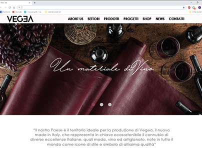 Progetto Vegea - Web Design