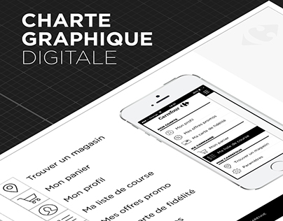 Carrefour - Charte graphique digitale