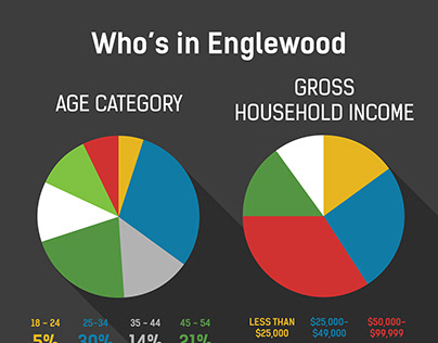 Englewood 2018 Citizen Survey Results Info Graphic