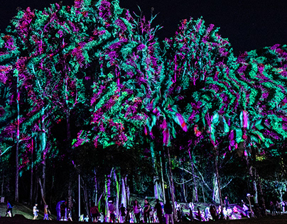 Forest Projection Mapping - Rainforest in the City 2019