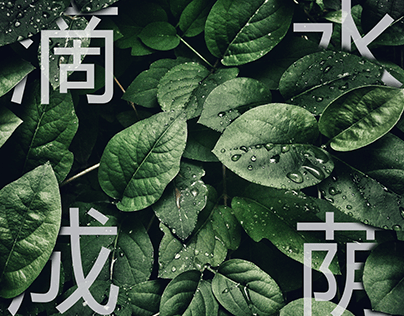 Chinese Characters in a Scene