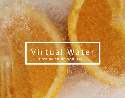 Virtual Water Book