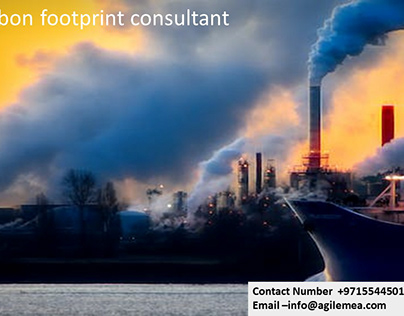 Carbon footprint consultant