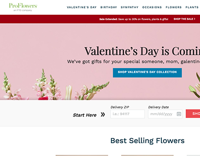 ProFlowers Search Engine Ranking Strategy