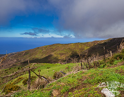 Madeira National Park