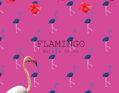 FLAMINGO -texture