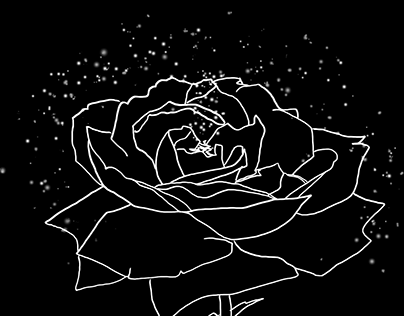 a Rose – Rotoscoping Motion