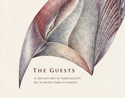 THE GUESTS