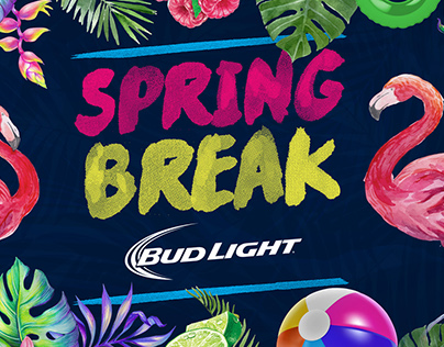Spring Break Party Poster