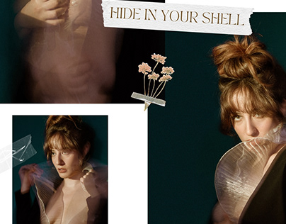 Project thumbnail - Hide in your shell;
