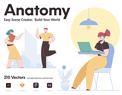 Anatomy illustration builder