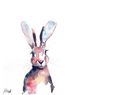 Hare watercolour illustration
