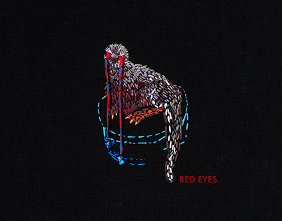 Red eyes. Embroidery