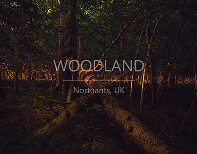 Northamptonshire Woodlands