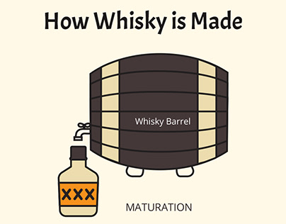 How whisky is made- Infographics