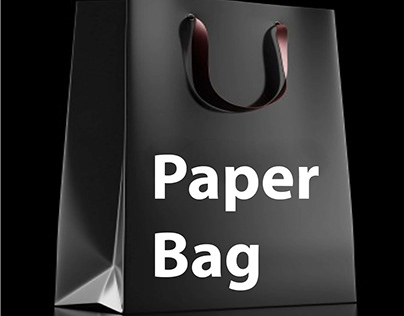 Project thumbnail - Paper Bag