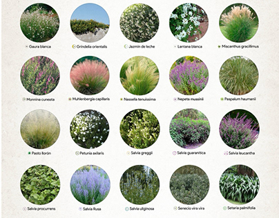 Project thumbnail - Landscape project - Plant selection & renderings