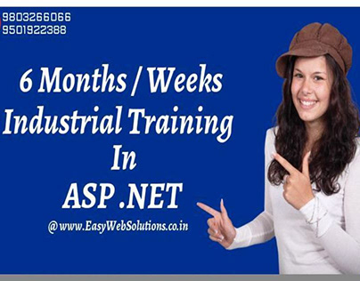 Industrial Training in ASP Dot Net at Panchkula