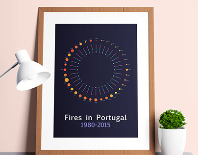 Fires in Portugal | Data Visualization